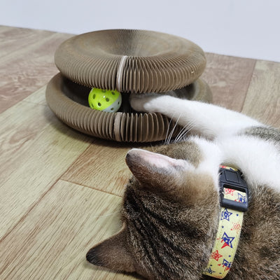 "Engage Your Feline Friend with the Ultimate Magic Cat Scratcher Toy"