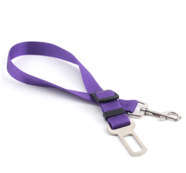 "Durable Polyester Dog Leash – Strong,  and Comfortable"