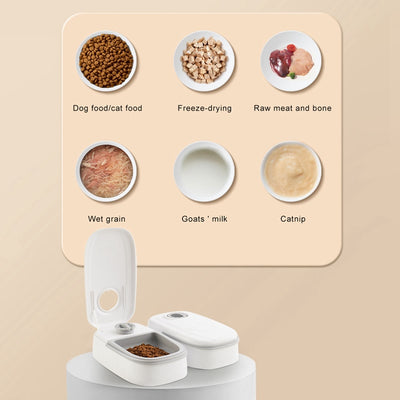 Automatic Stainless Steel Smart Food Dispenser For Cats & Dogs