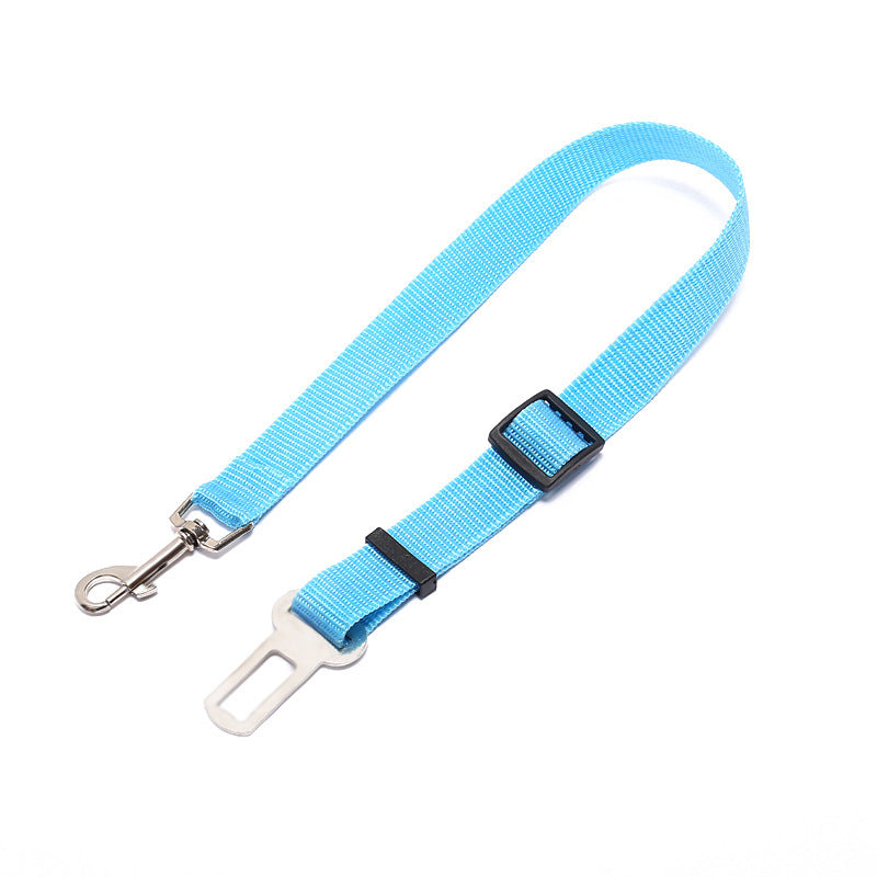 "Durable Polyester Dog Leash – Strong,  and Comfortable"