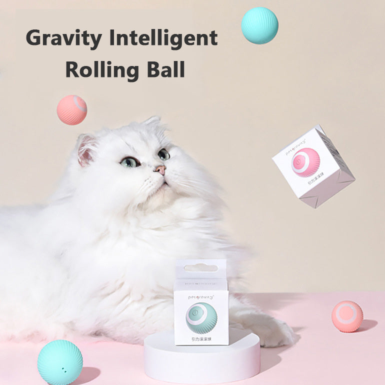 Automatic Rolling ball to Keep your Cat/Dog Busy (Rechargeable)