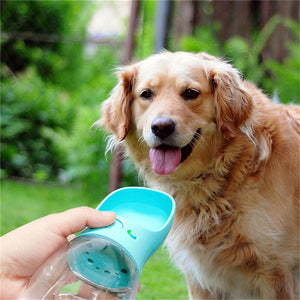 Portable Pet Water Bottle for the Outdoors for pets/dogs