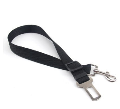 "Durable Polyester Dog Leash – Strong,  and Comfortable"