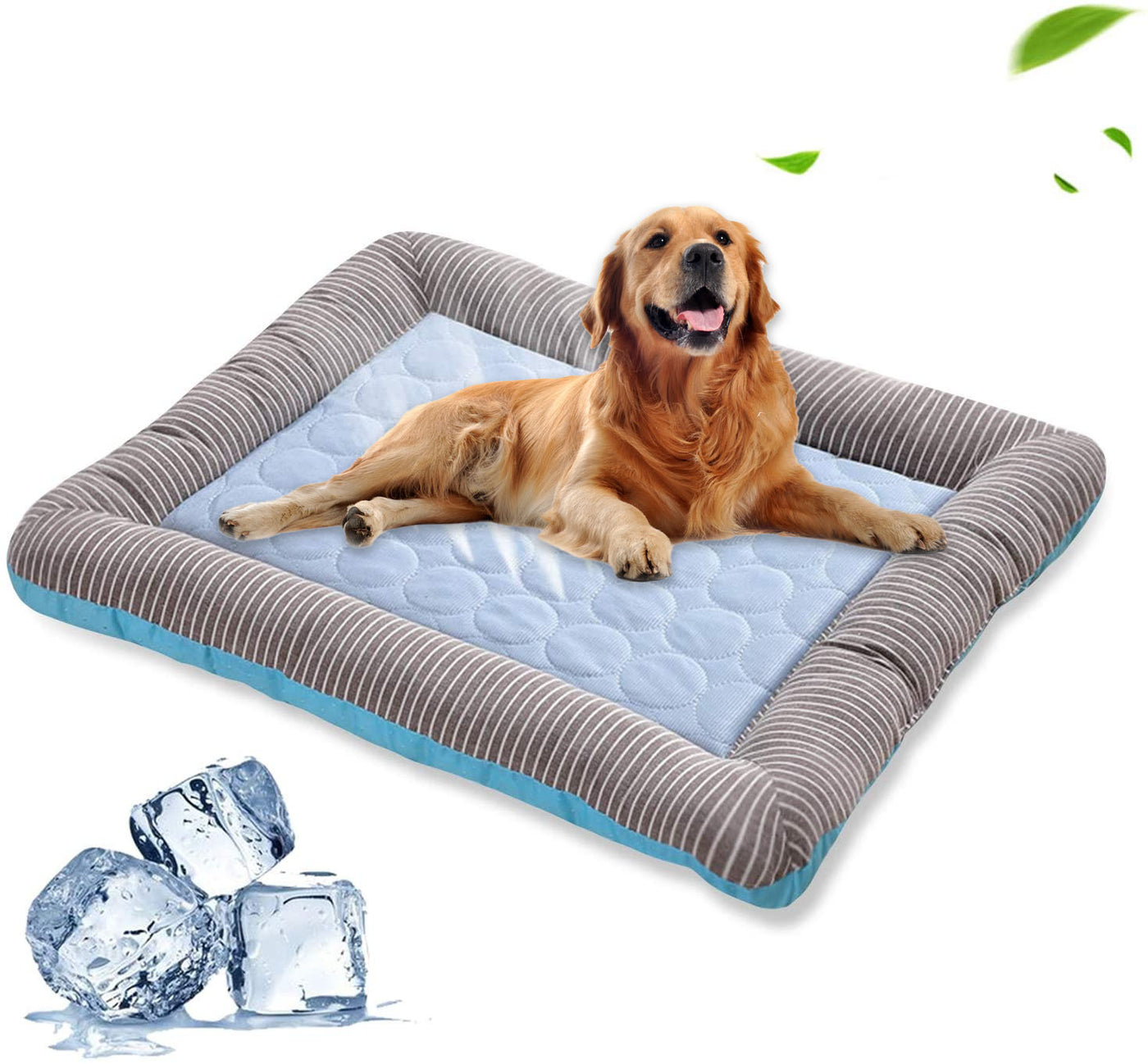 Pet Cooling Bed For Summer Heat