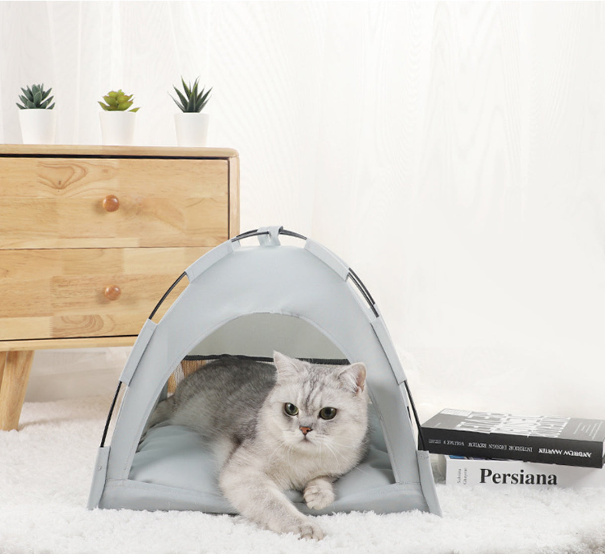 Outdoor Small Cat Tent Bed