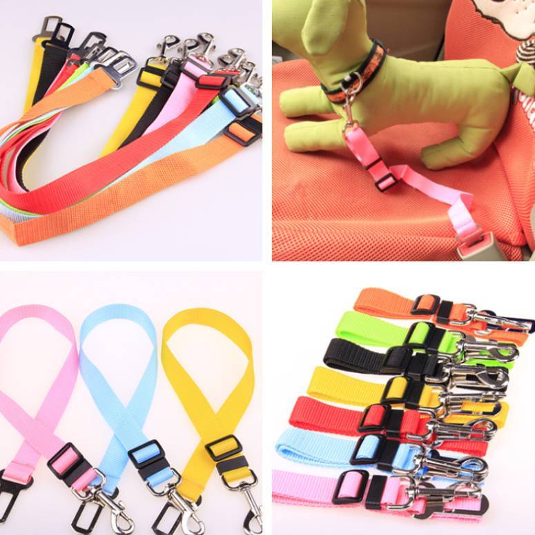 "Durable Polyester Dog Leash – Strong,  and Comfortable"